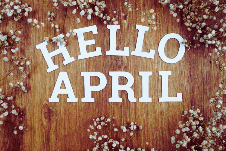 AttyMoniqueLamb's tweet photo. Spring is busy, but if you need guidance in family law, divorce, or handling investments and equity due to divorce, don’t wait. Lamb and Lamb, P.C. serves Salem, Beverly, Peabody, Danvers, Marblehead, Lynn, and nearby communities. Reach out today!

#FamilyLaw #DivorceLaw #SalemMA https://t.co/vDgV9e1PAt