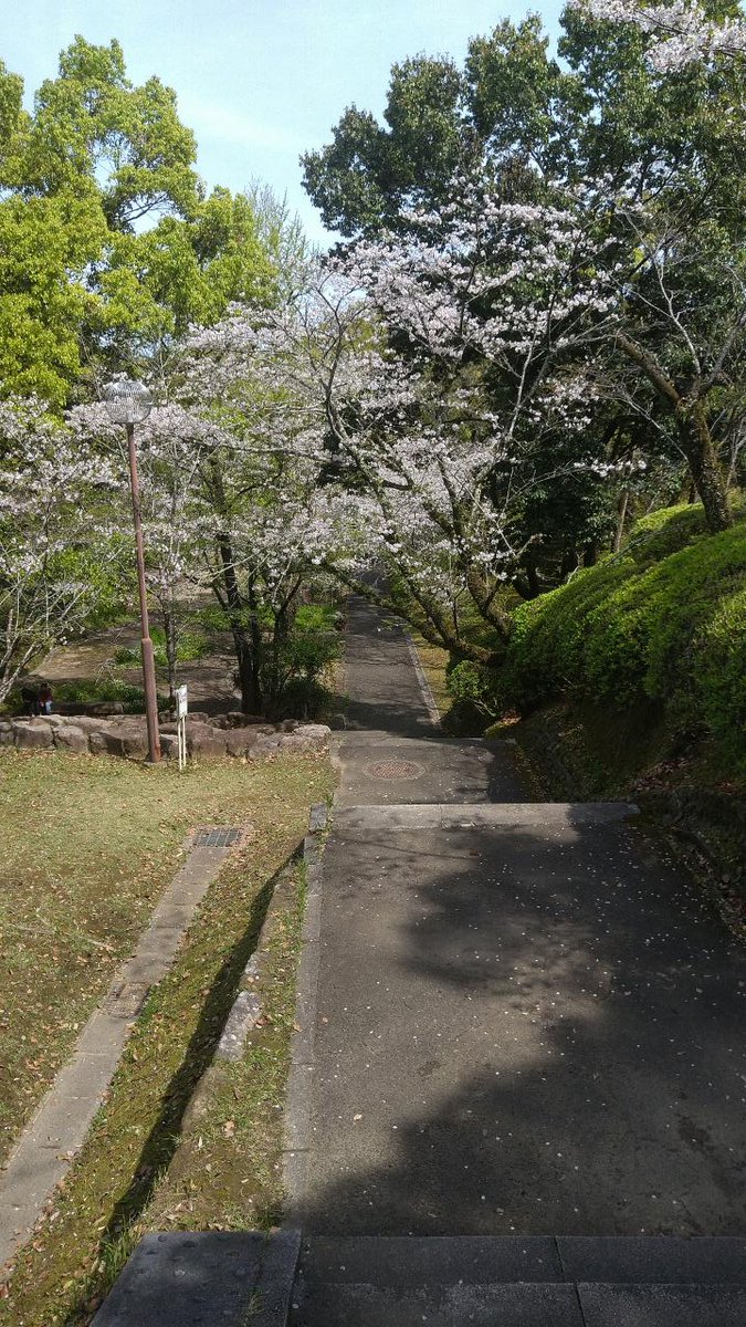 oodamarasen's tweet photo. 今年（2026年）は晴れの日、小雨の日で2回、近所の公園。これもしばらく固定(^^) https://t.co/siTUYC5WjR