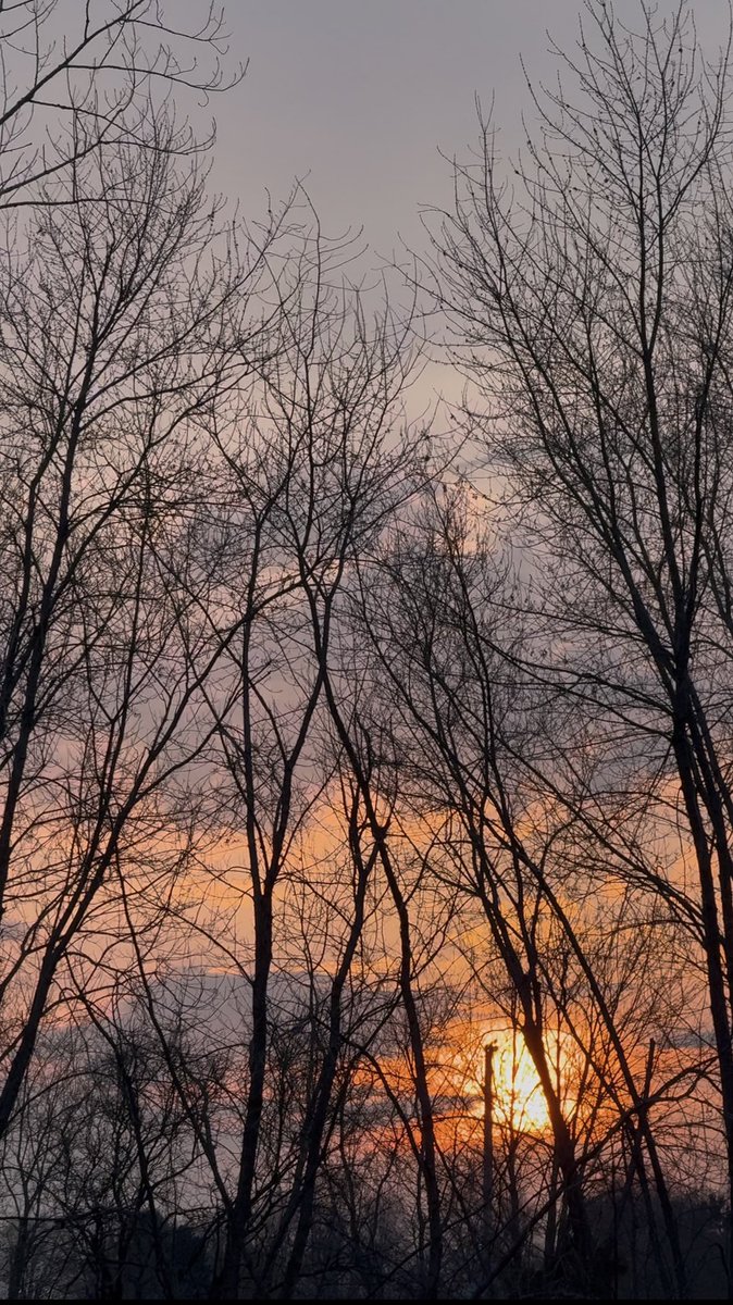 11202011🇺🇸TINA™️ tweet media