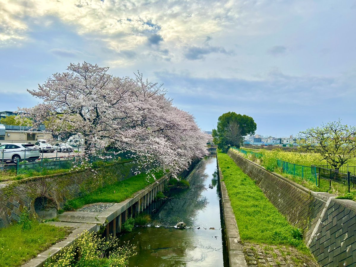 ヨノ代官@与野非公式キャラクター tweet media