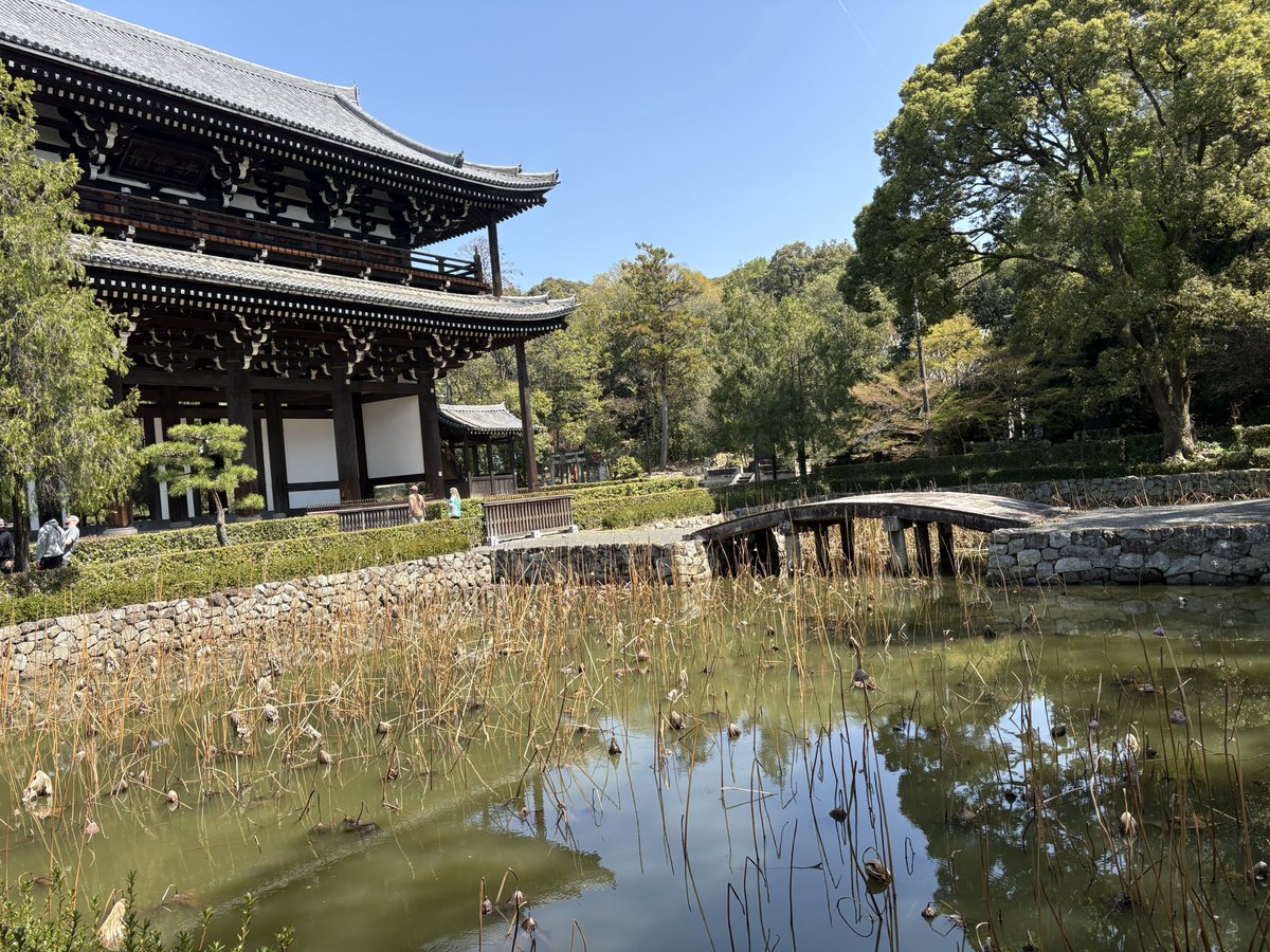 ぴ〜よこ tweet media