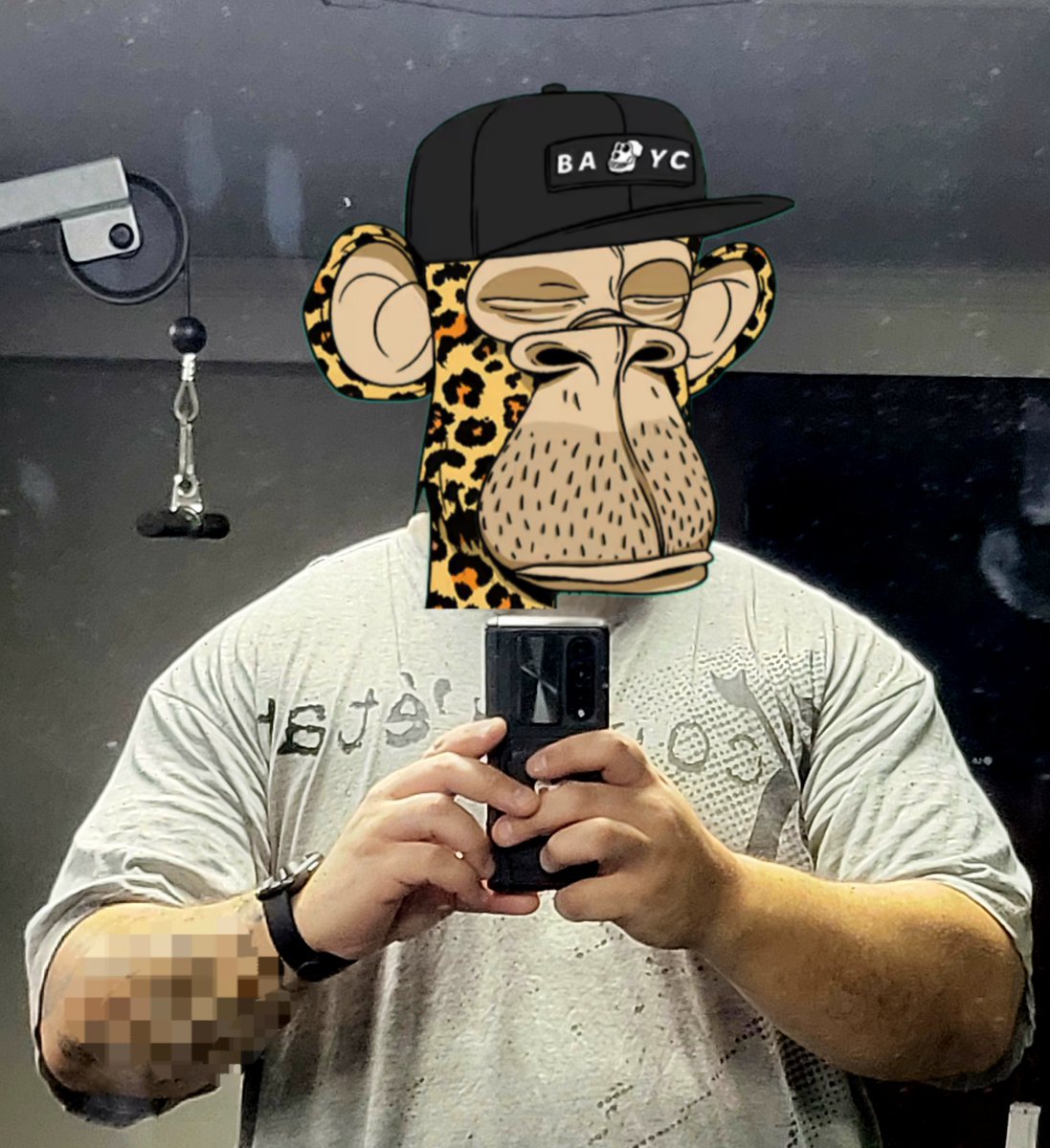 Apewhale 🍌 tweet media