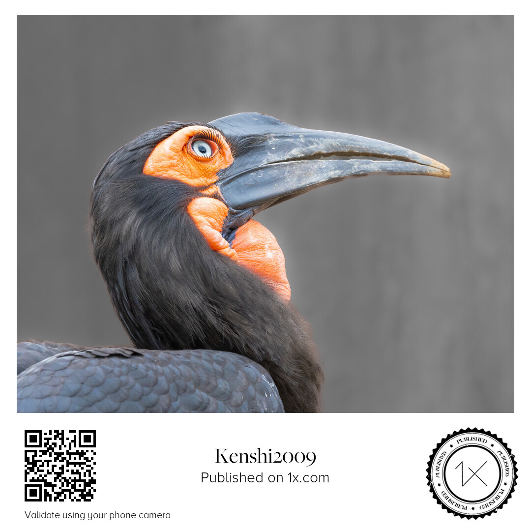 Kenshi2009's tweet image. 1xに新しい作品載りました！

Eyelash Envy
1x.com/photo/3530966
Published on 1x.com #1xshed