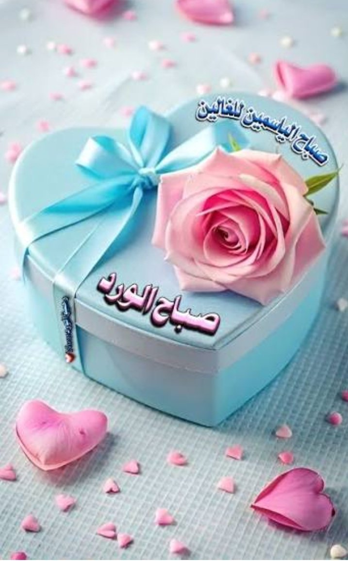 عبد العزيز ١ tweet media