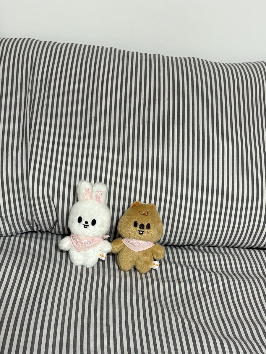 sinfulbusan's tweet photo. we’ve arrived safely to our first airbnb in seoul 🌸💕 https://t.co/8AACSKQNG9