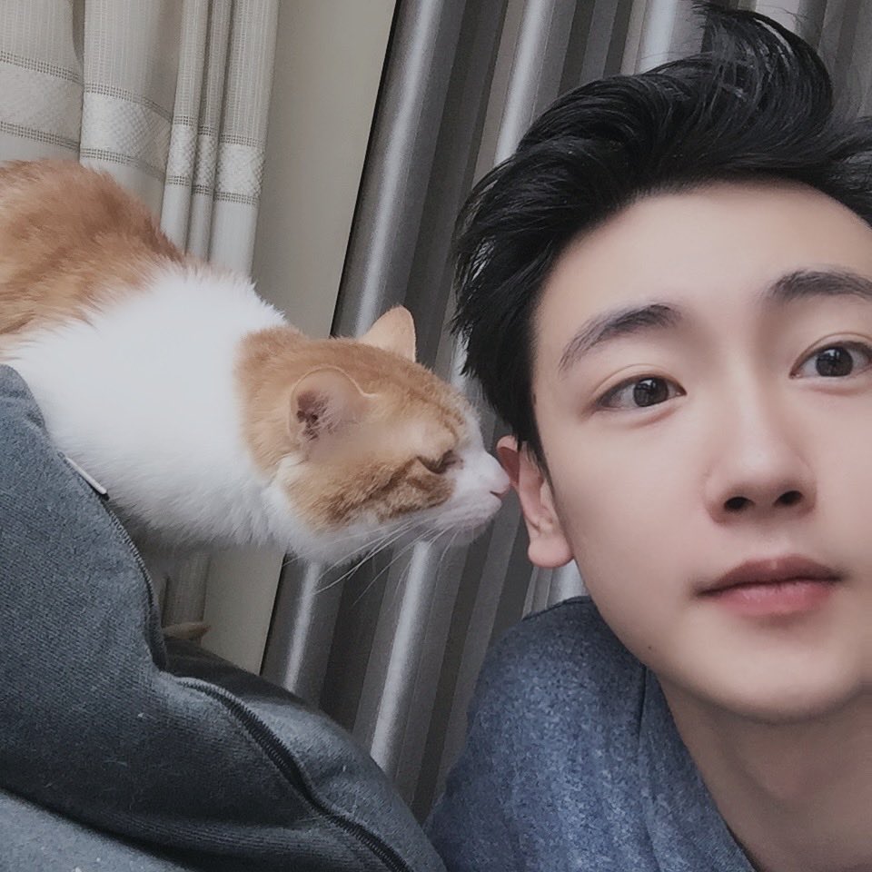 就一普通男的 tweet media