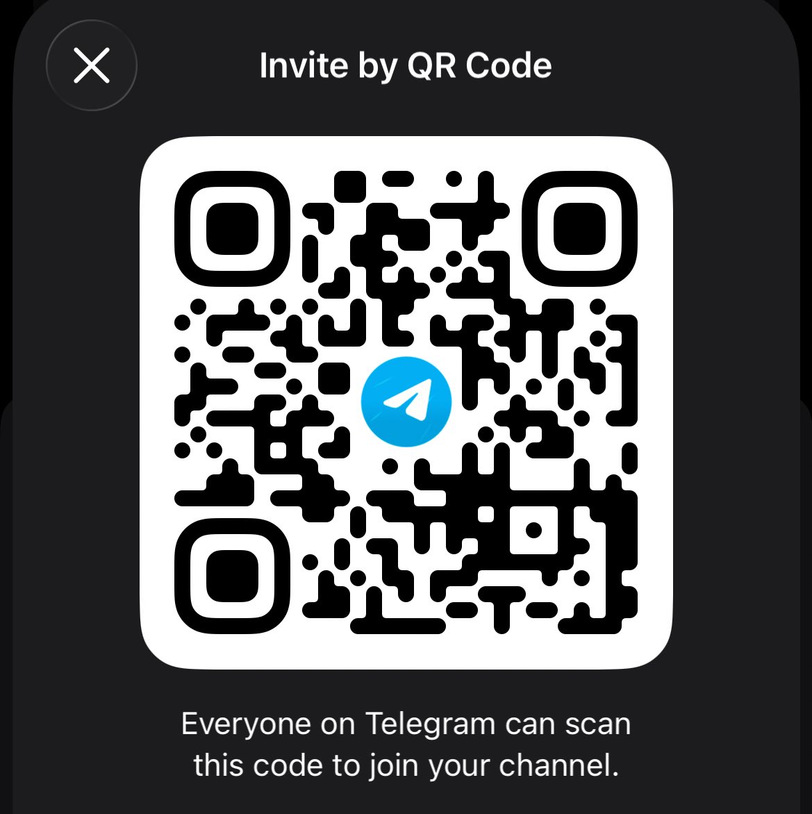 Ponyin 𓂀 tweet media