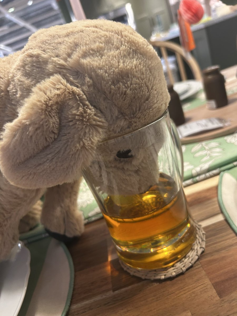 lyra🔜fwa, ac tweet media