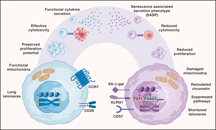 Waggoner Lab tweet media
