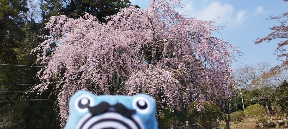 私とニョロゾ tweet media