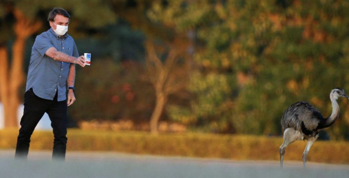 Igor | BBB26 tweet media