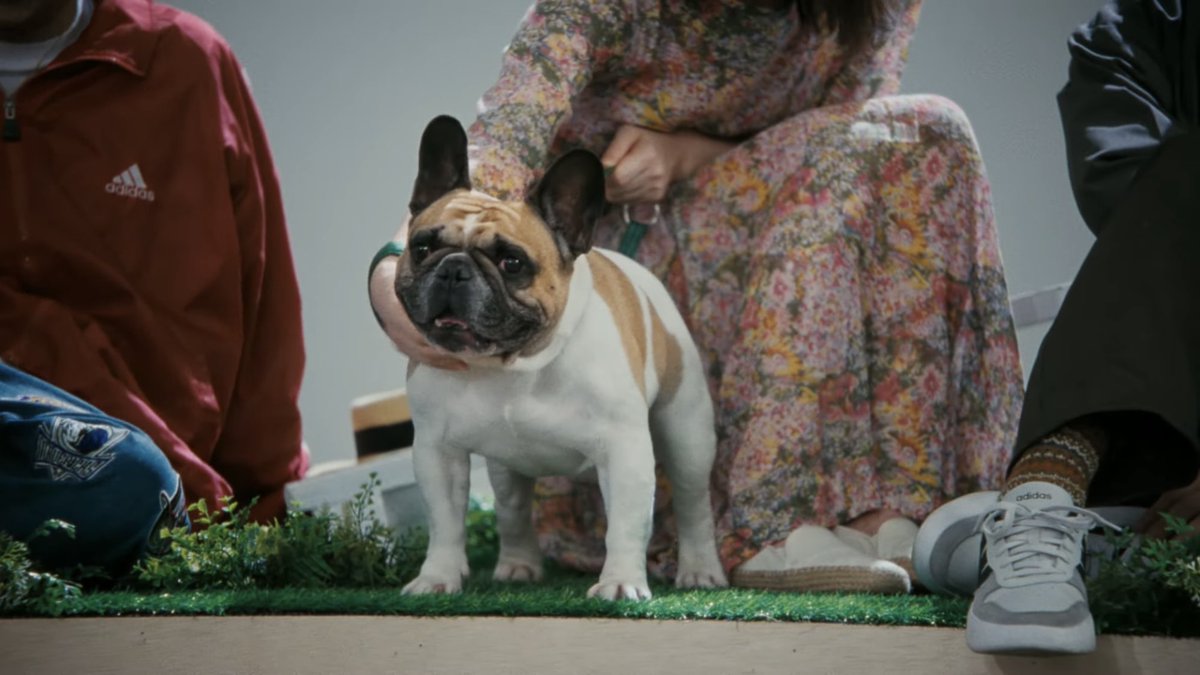 うーᒼᑋªⁿ✿ tweet media