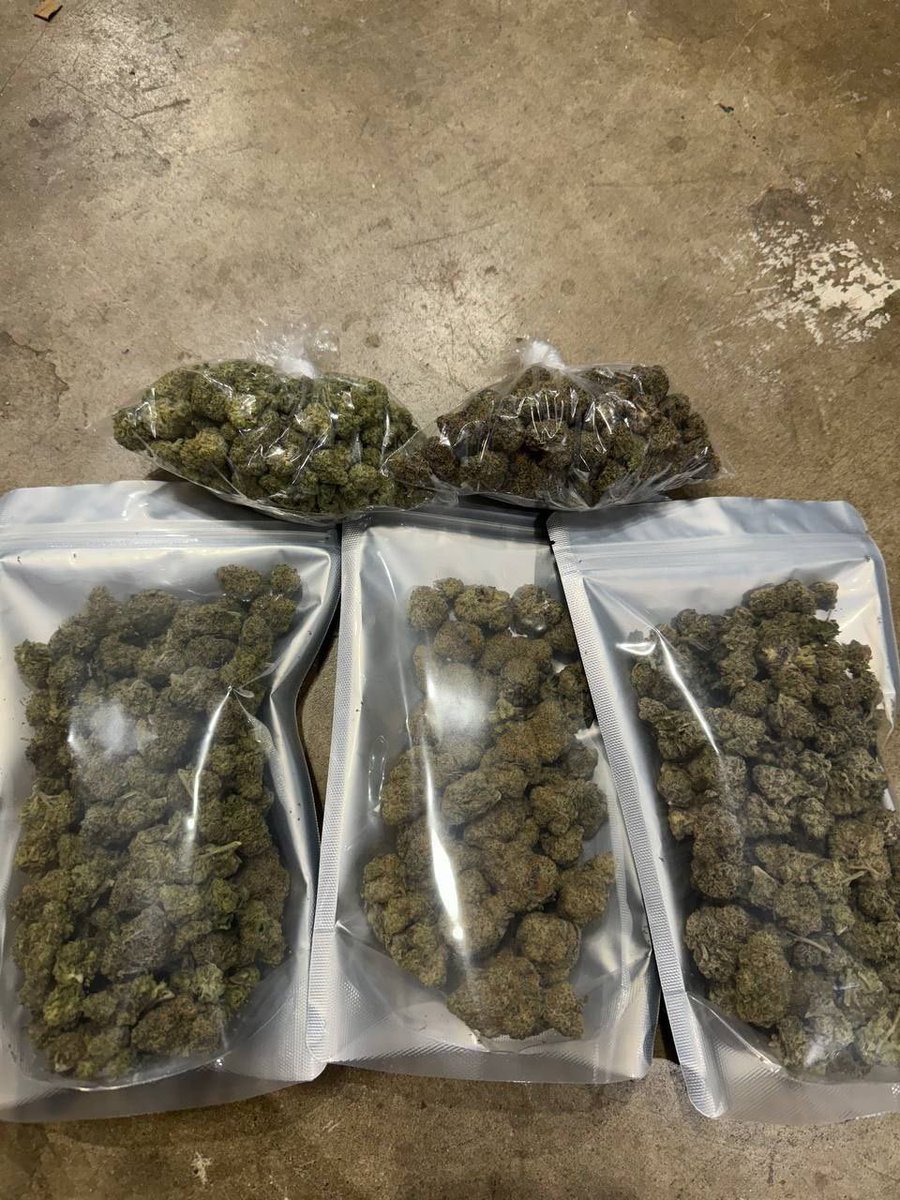 ELMER'S BUDD tweet media