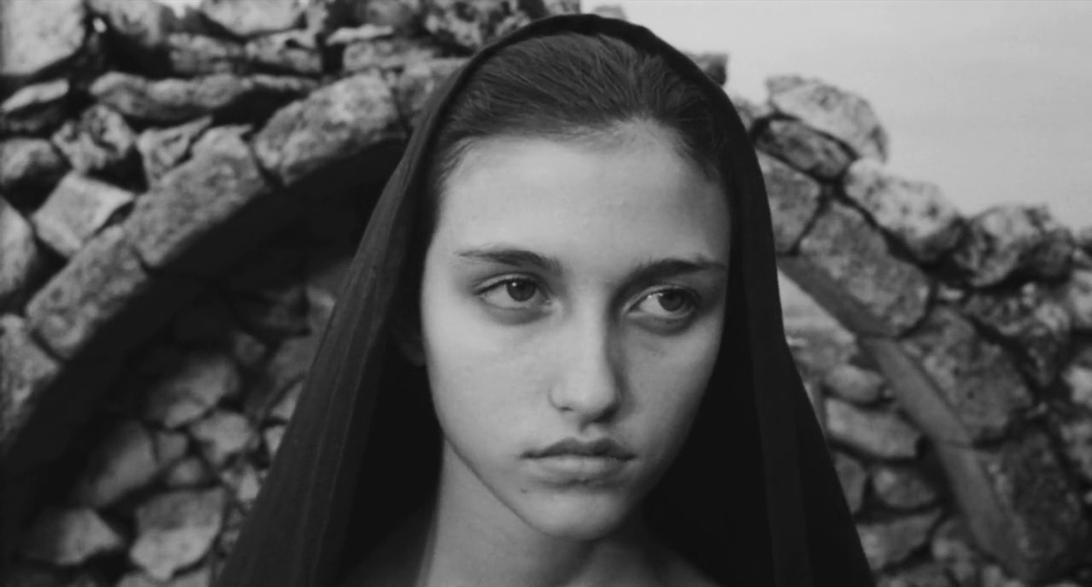 °-° 🌿 tweet media