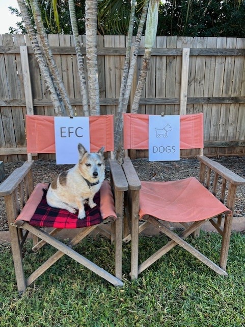 Terry 🔴⚫️ 🐾🐾 tweet media