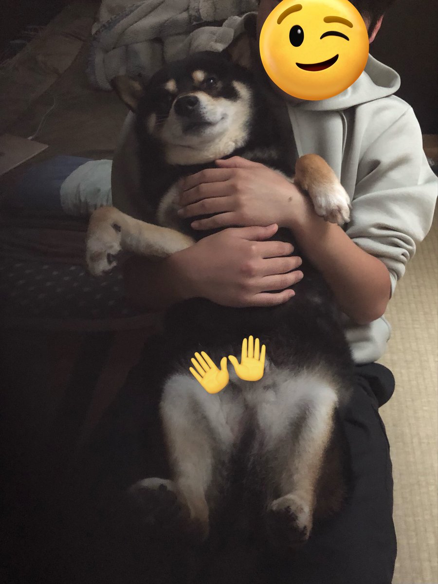 たっぷぅちゃん tweet media