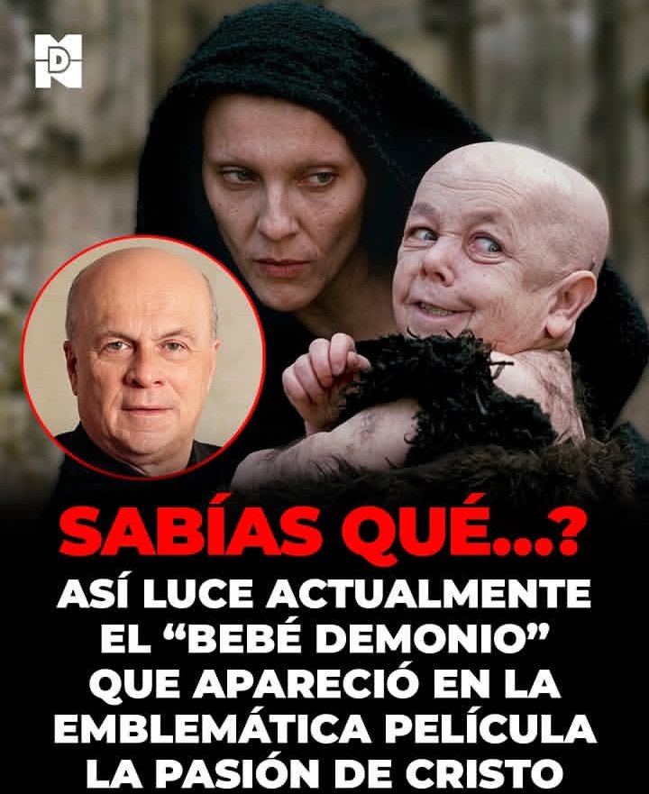 El Profesor tweet media