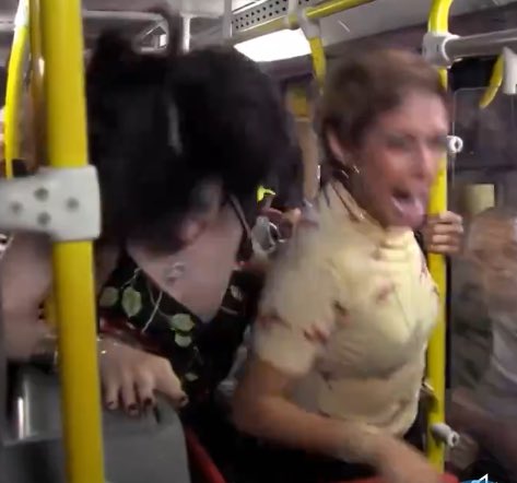 mosca de bolo tweet media