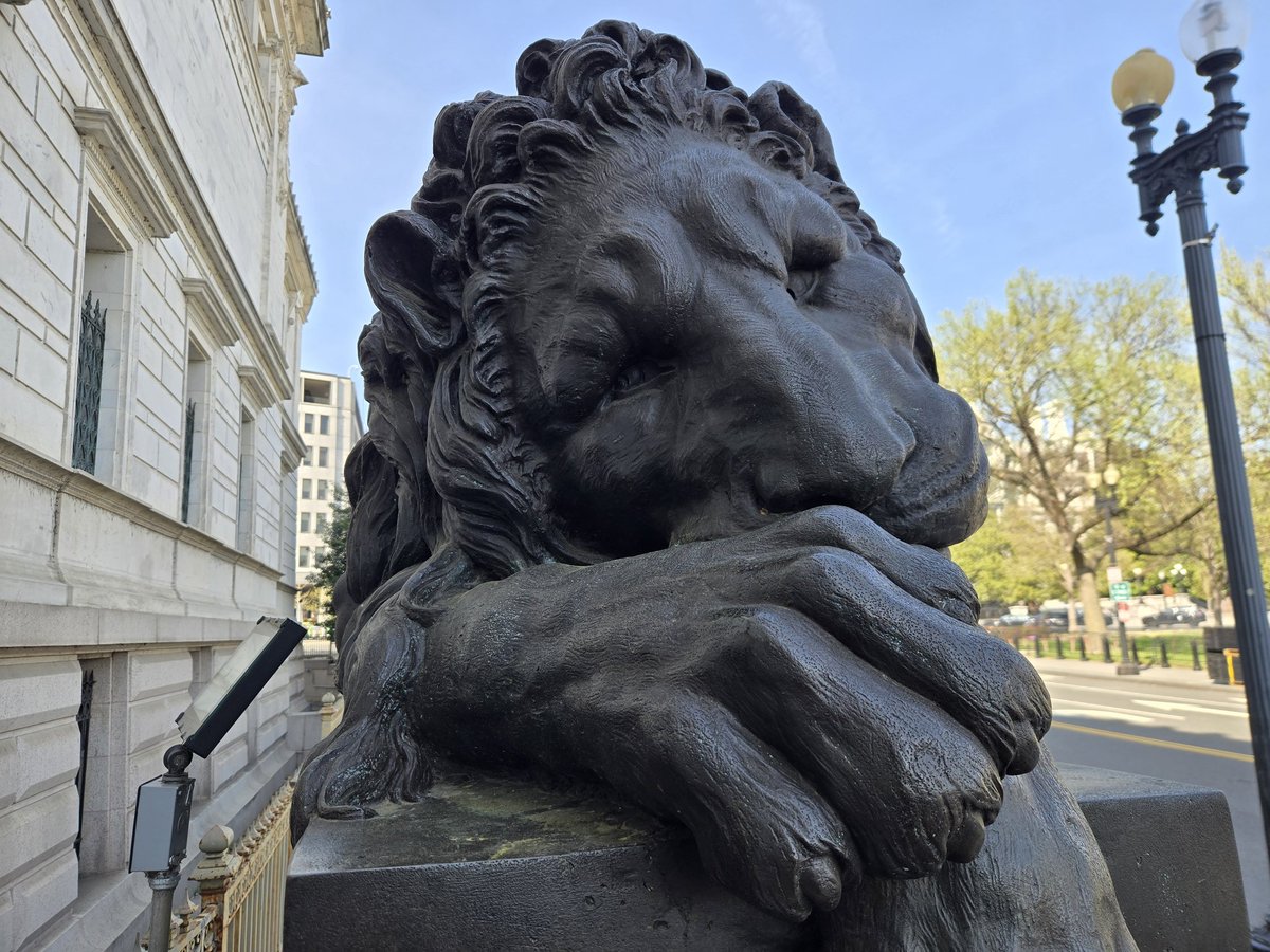 The lion sleeps tonight