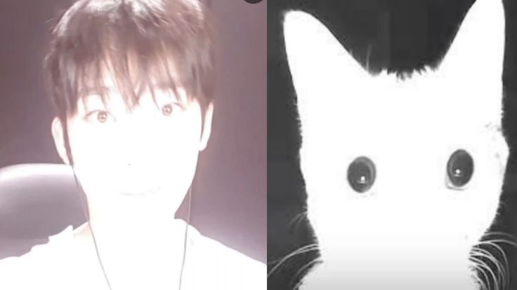 juli 🔪 ENHYPEN IS 7 tweet media