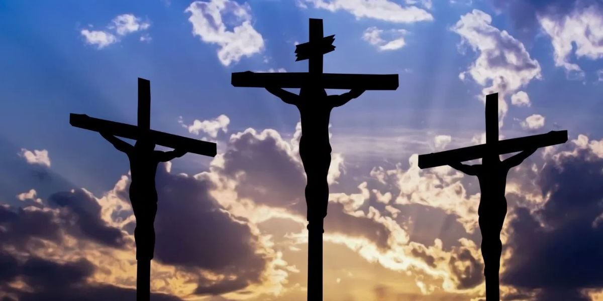 Elsa Correa ن tweet media