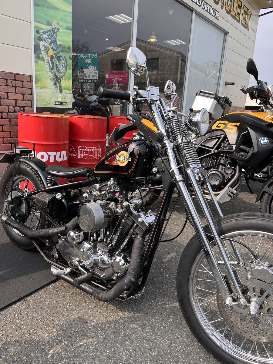 カマダサイクルex の ハルカ tweet media