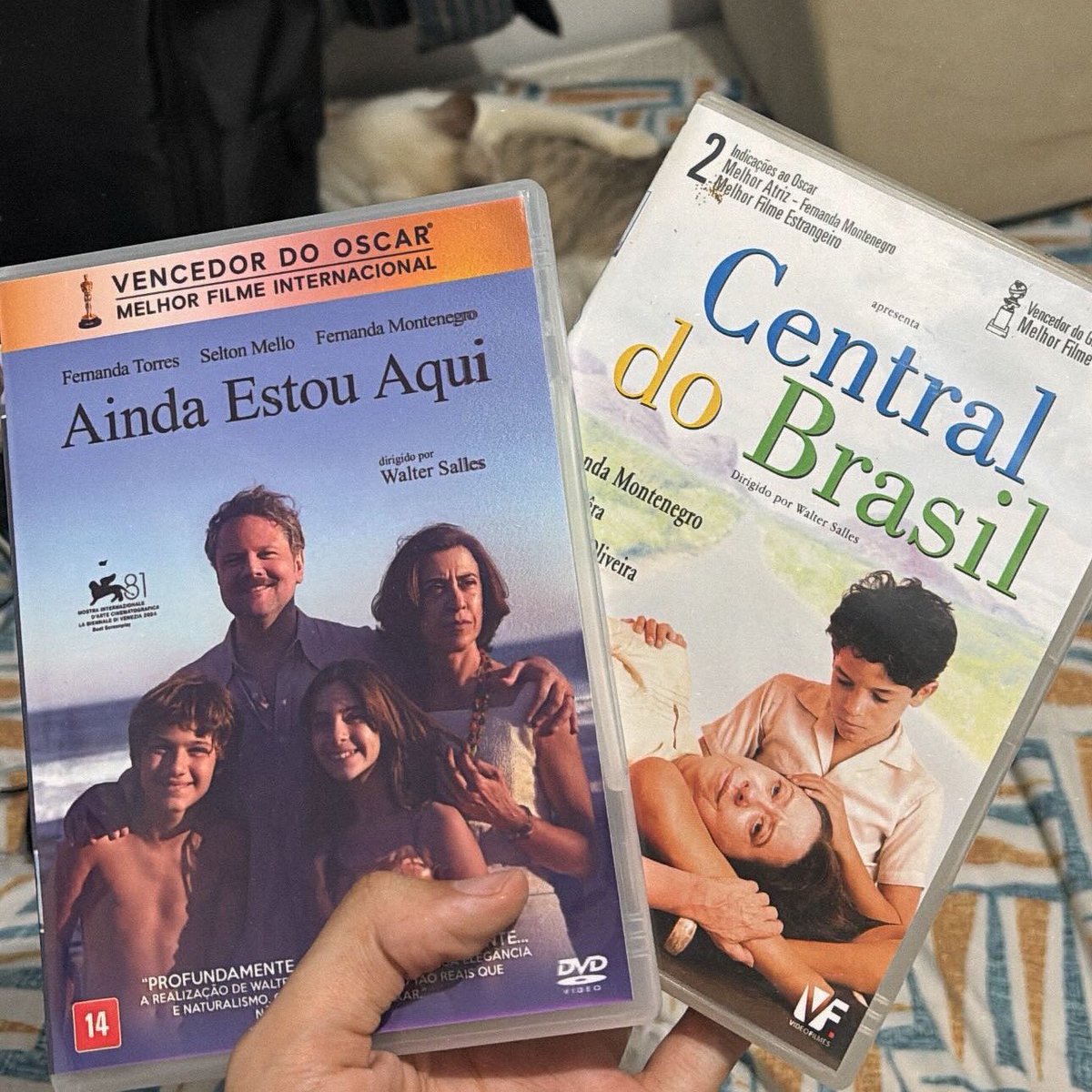 Arthur Gadelha tweet media