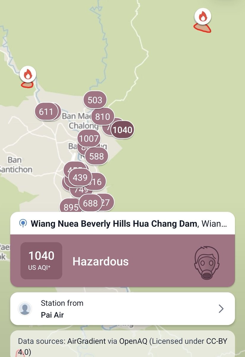 FattyNatsu tweet media