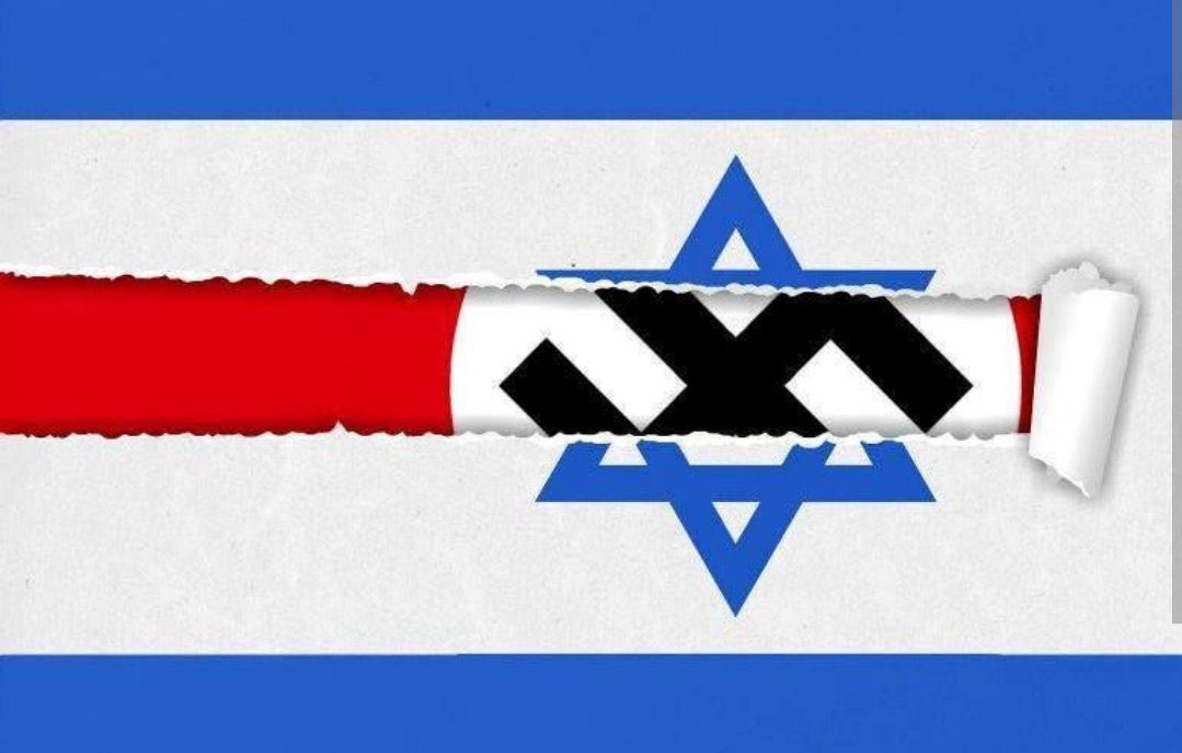 tomelirola99 tweet media