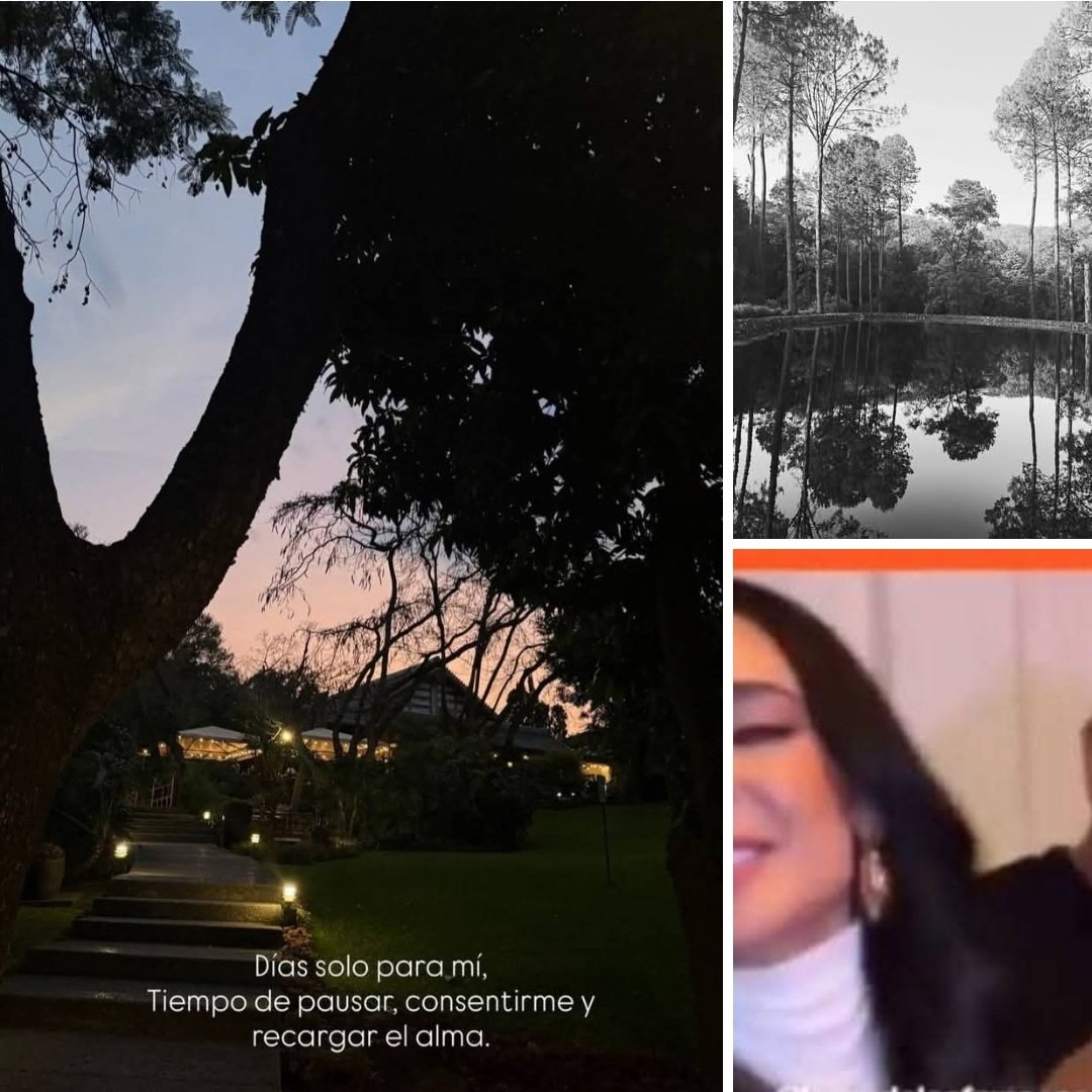 la casa y los chismes tweet media