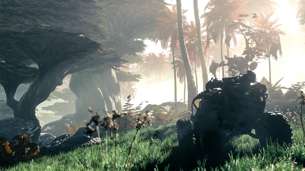 Jay Dook tweet media