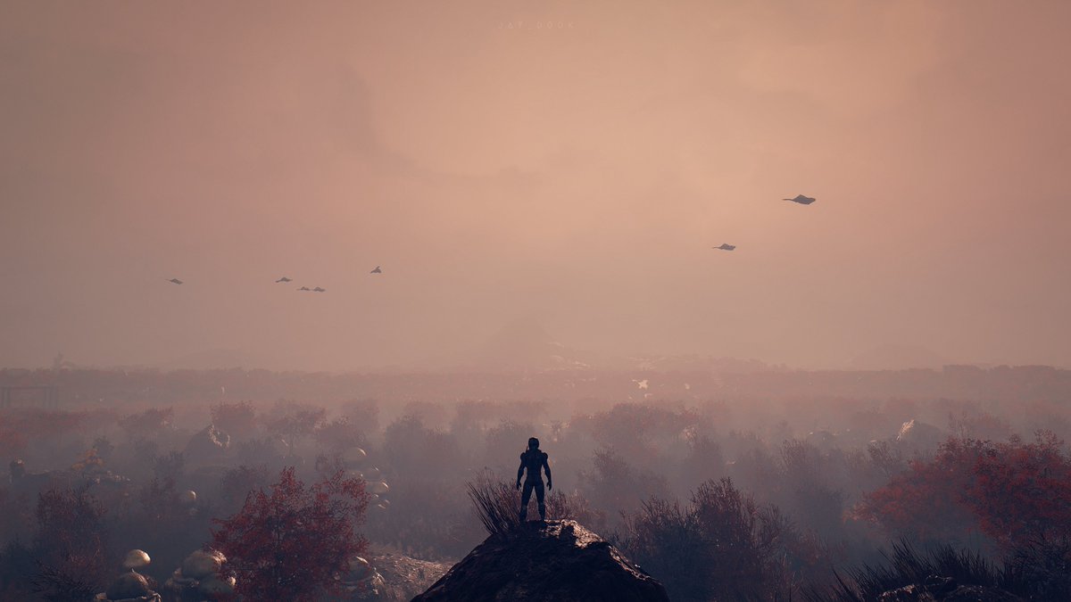 Jay Dook tweet media