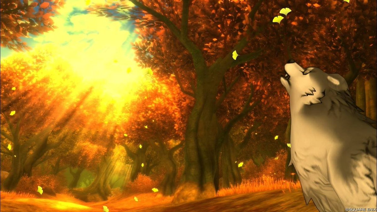 ふーこ tweet media