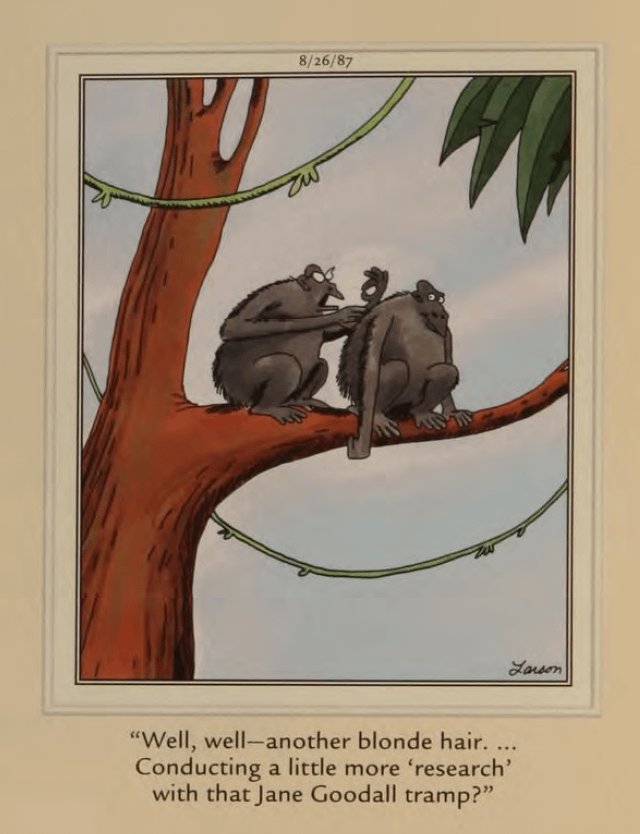 Noirchick In Old Hollywood tweet media