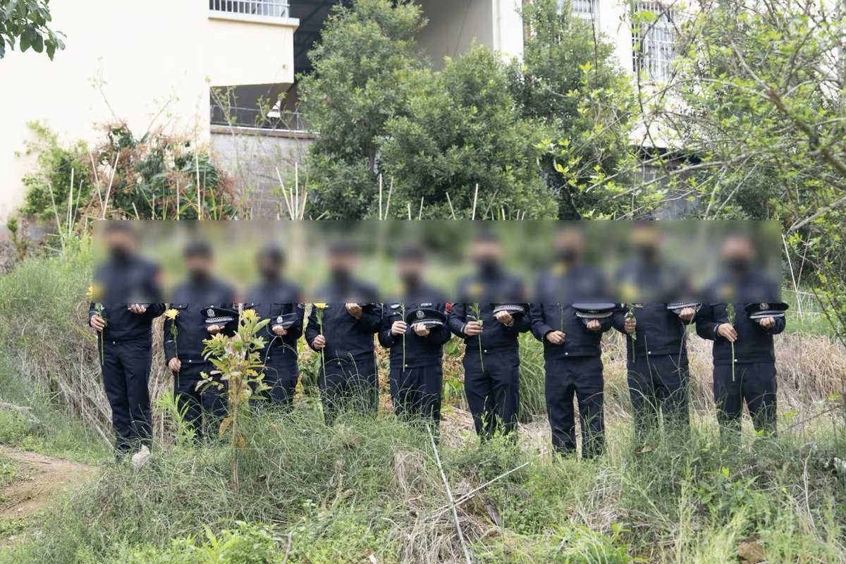 夏洛🇨🇳 tweet media