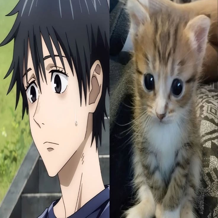 Jujutsu Fess tweet media