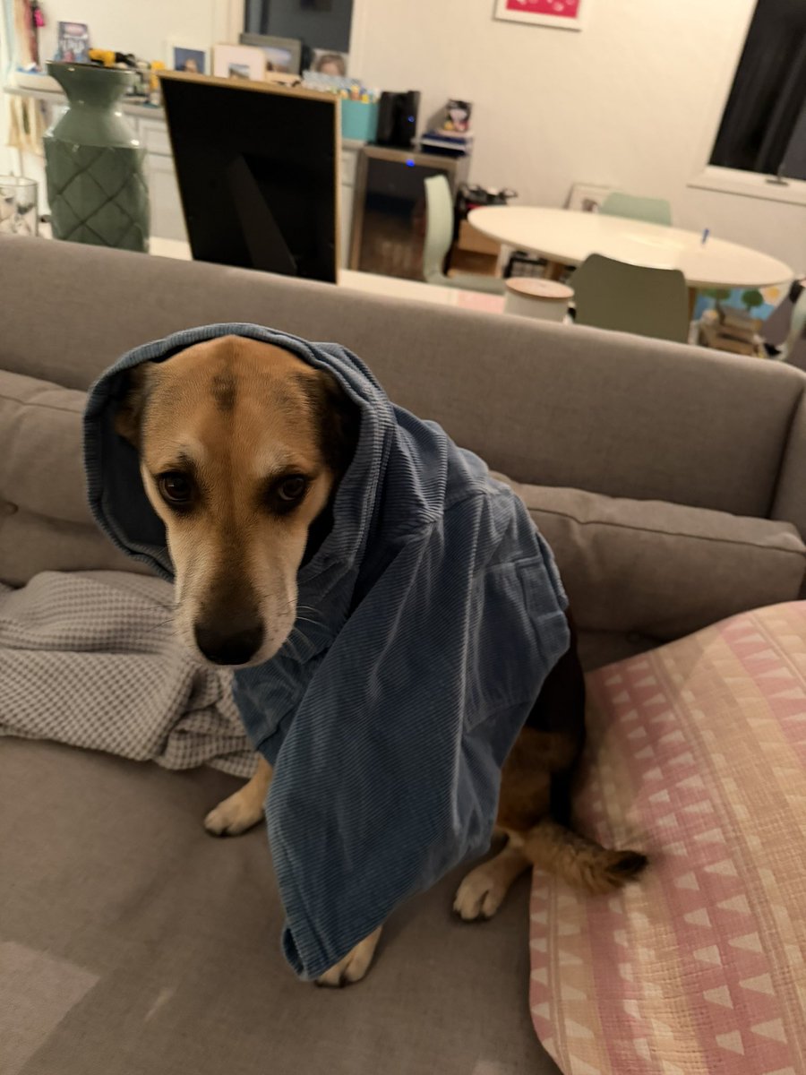 Morgan J. Freeman tweet media