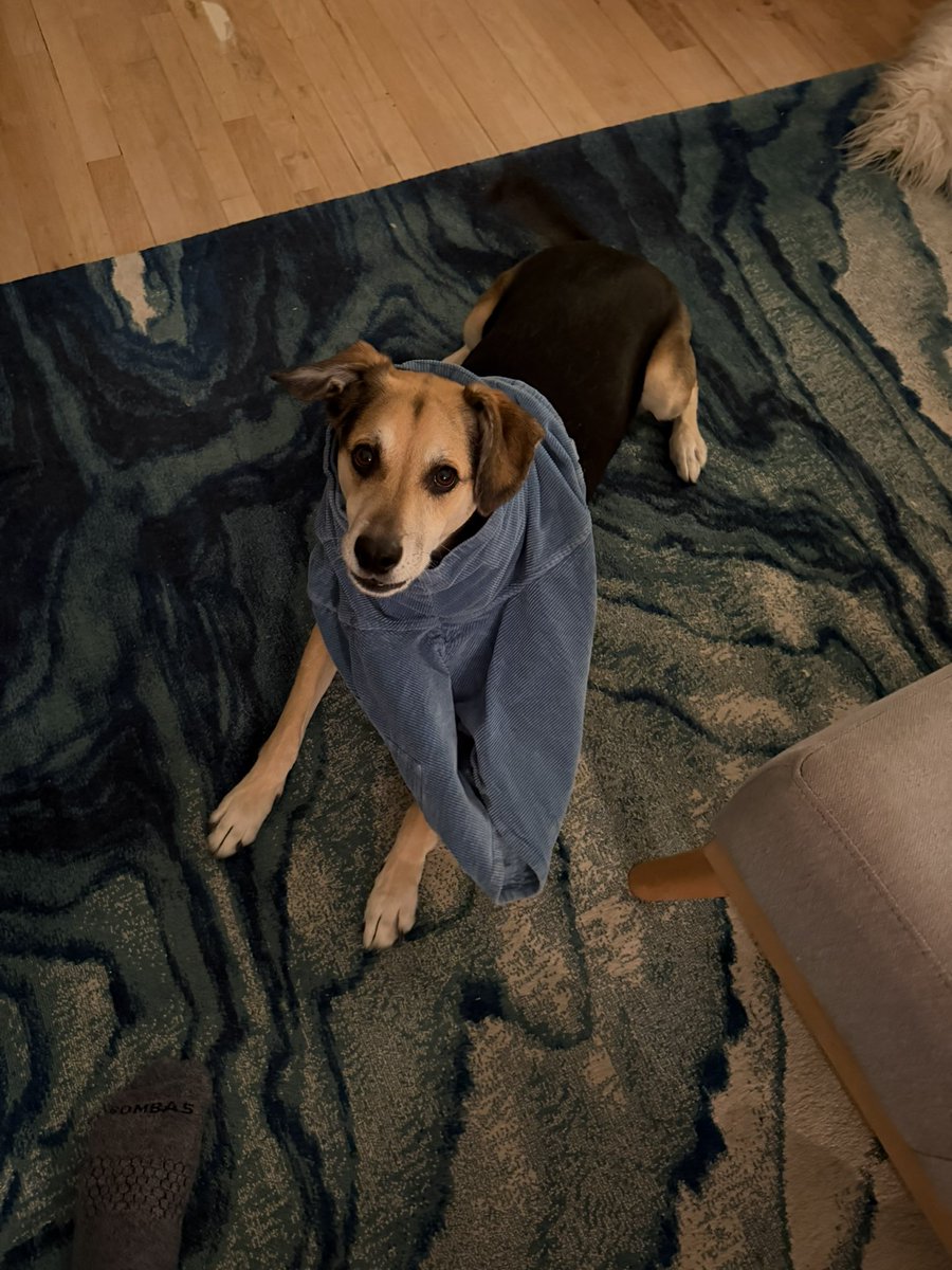 Morgan J. Freeman tweet media