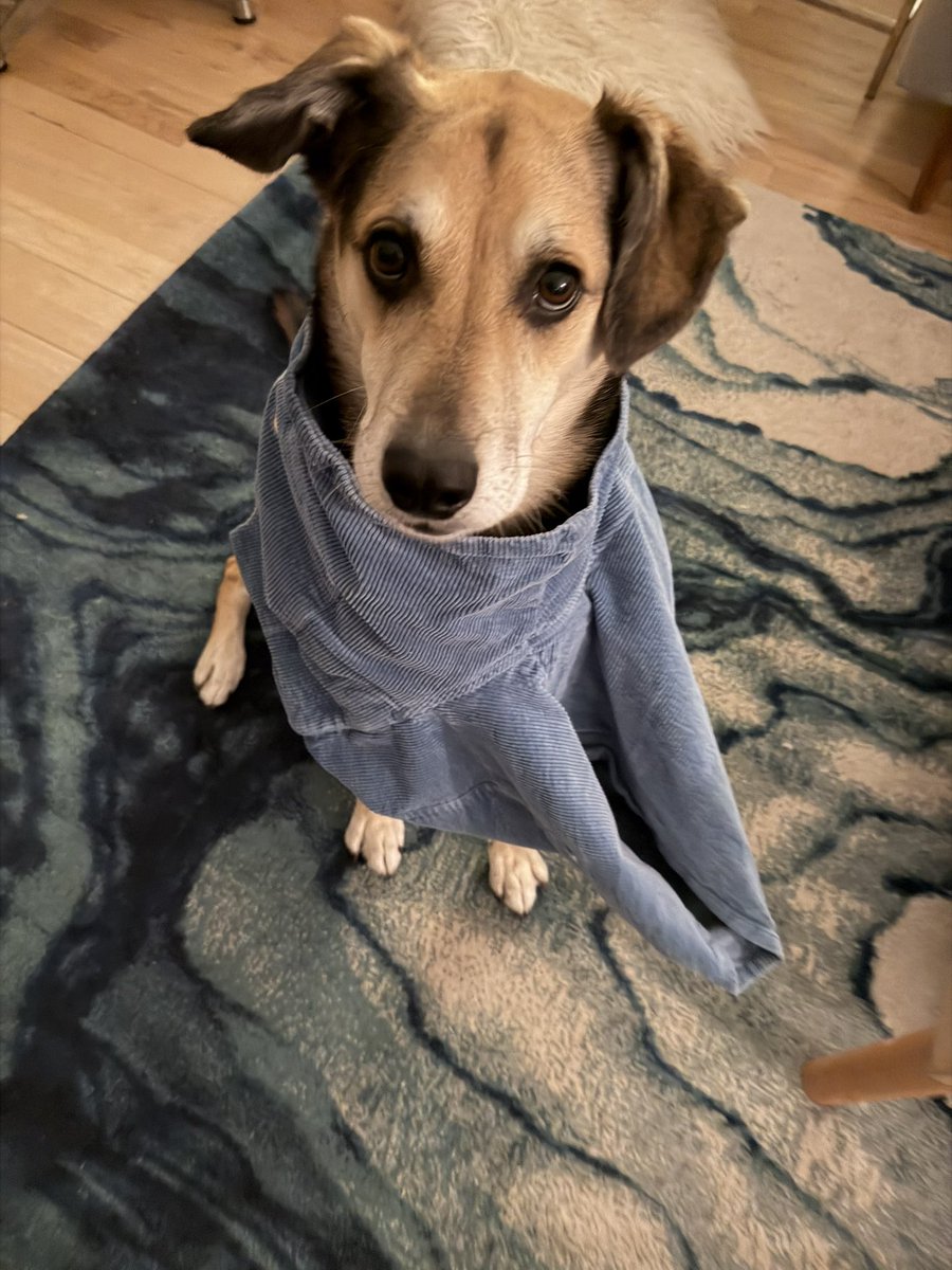 Morgan J. Freeman tweet media