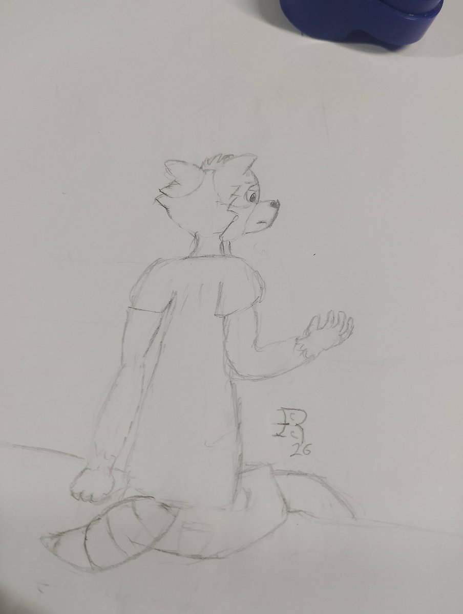 I T R 🦝 tweet media