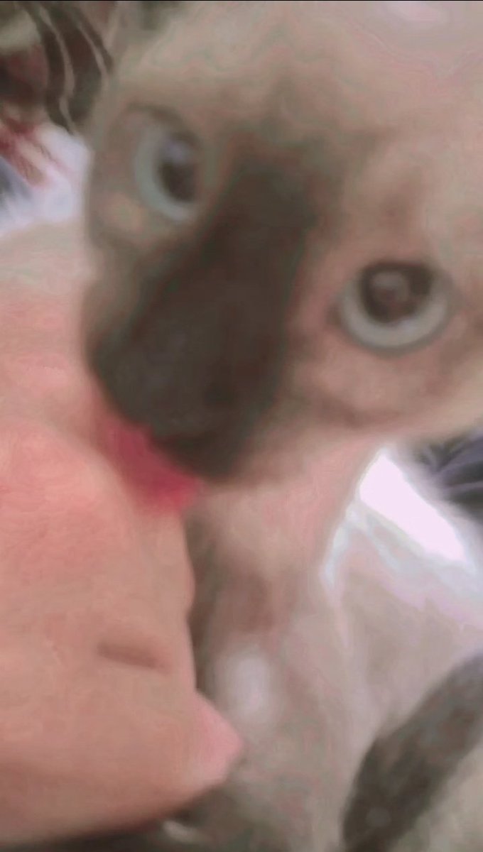 Repulsa. tweet media