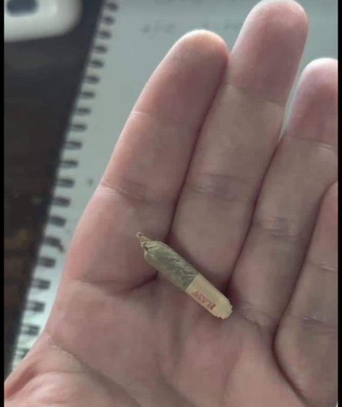 El Paragua Venenoso tweet media