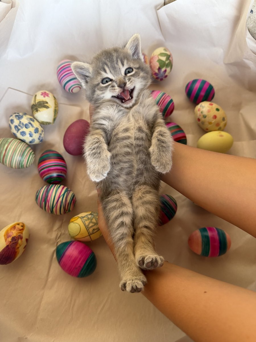 🌟Keli🌟 tweet media