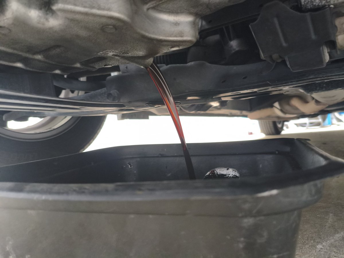 ハヤタ tweet media