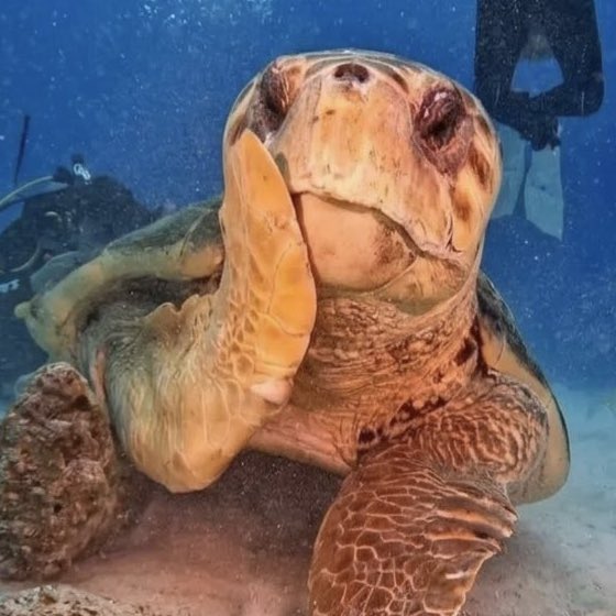 주훈이윙크 tweet media