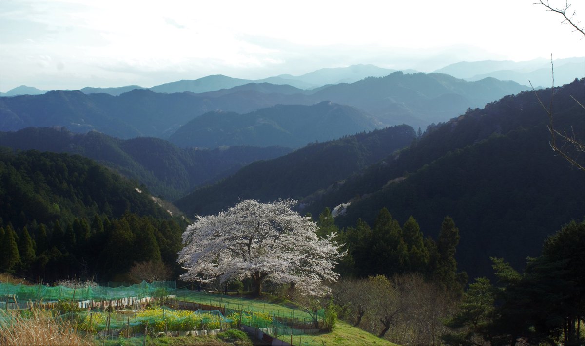 オサム tweet media