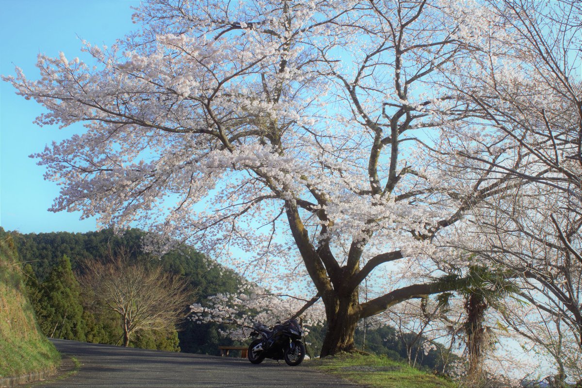 オサム tweet media