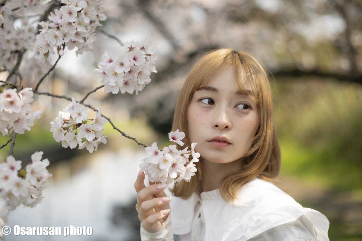 おさるさん🐒@ tweet media