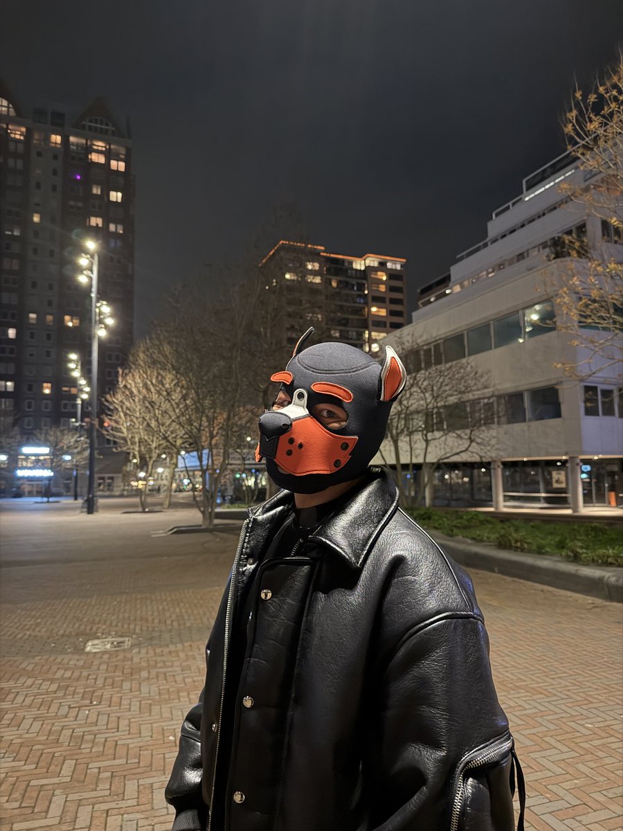 zenvyx_rubo tweet media