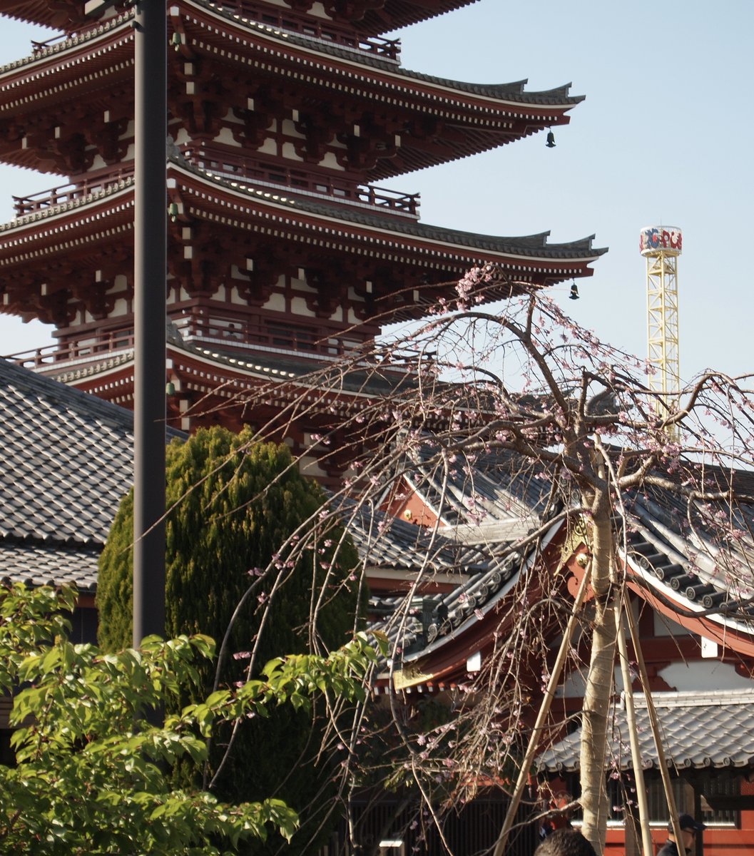 𝕚ℝ𝔽𝔸ℕ tweet media